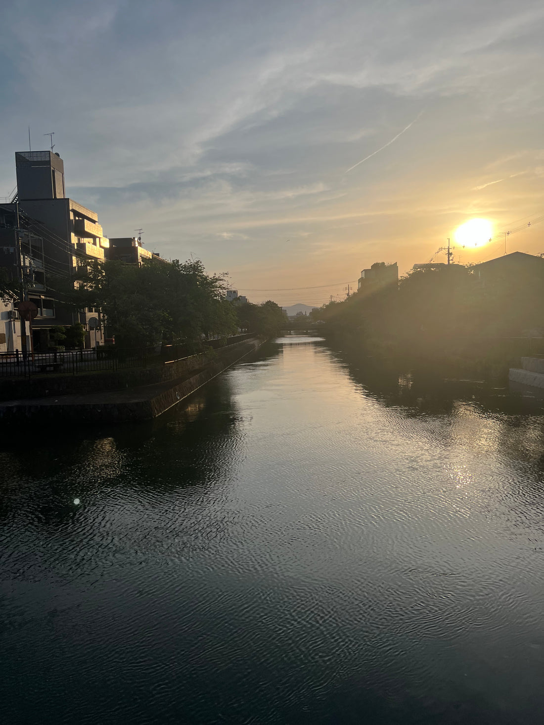 初夏に向かって
