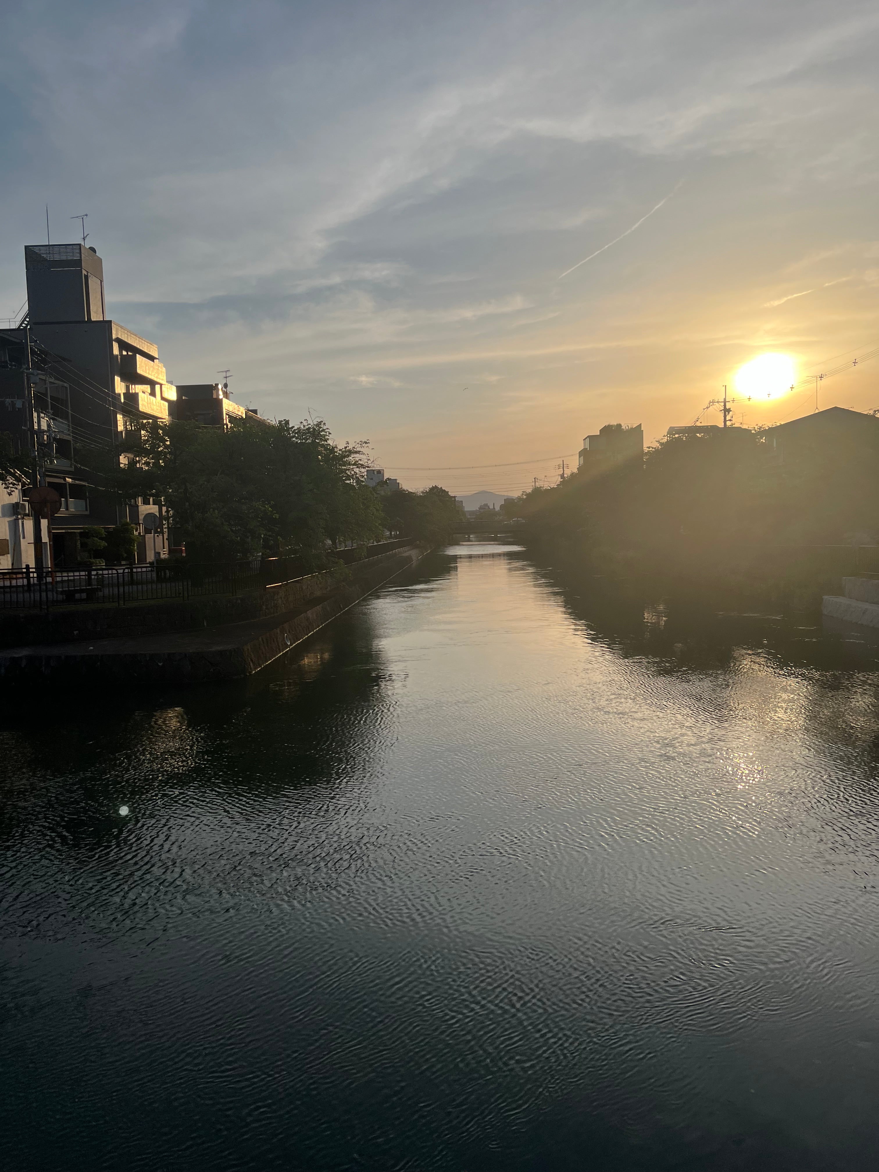 初夏に向かって