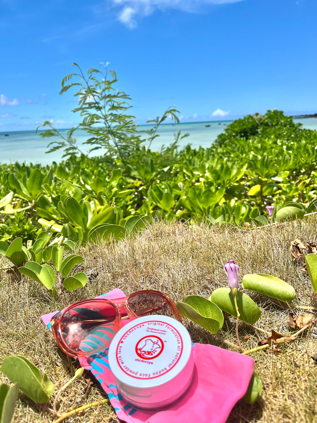 Unforgettable Summer Island ! 忘れがたき夏の島！