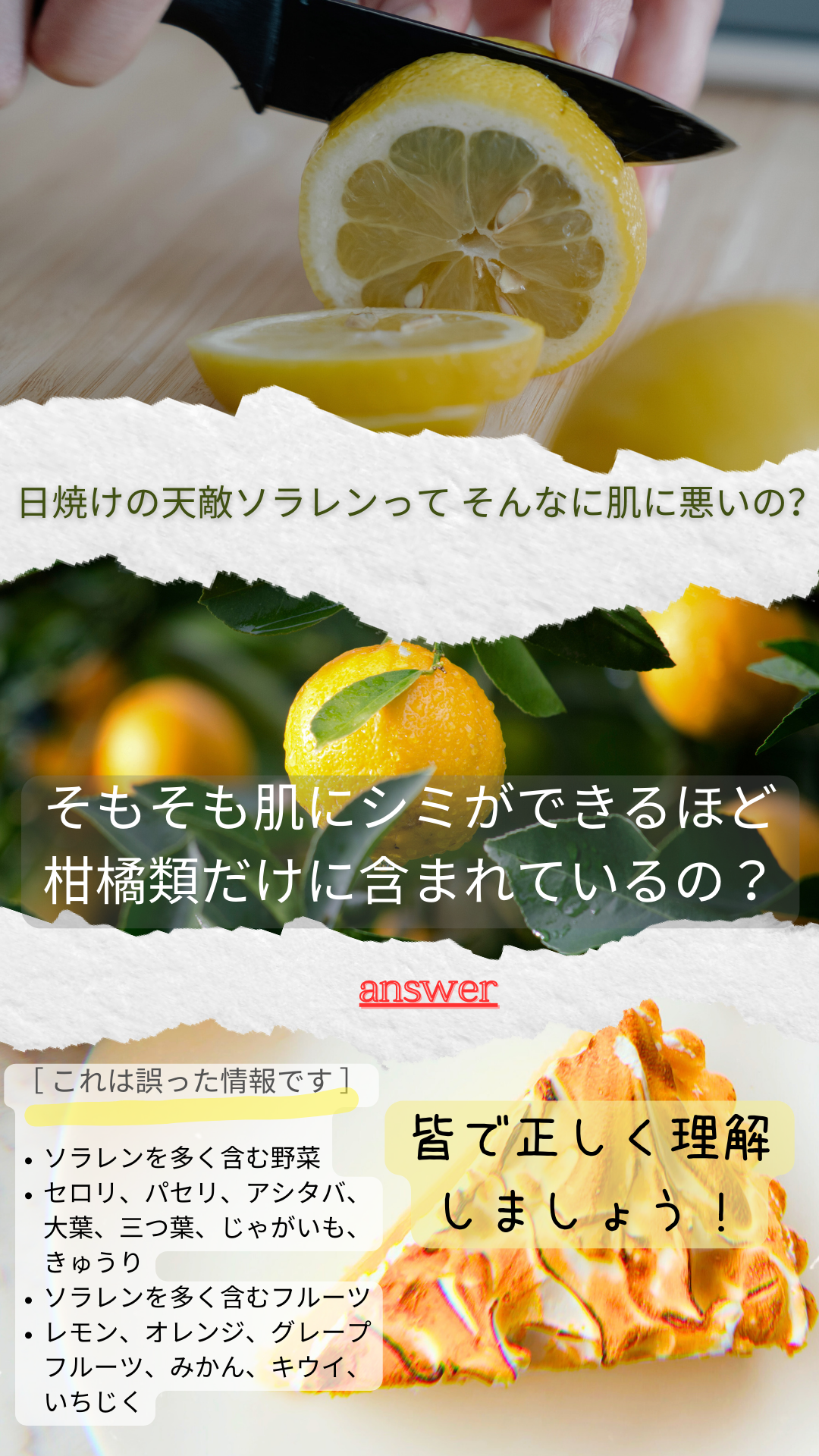 日焼けの大敵「ソラレン」とは？