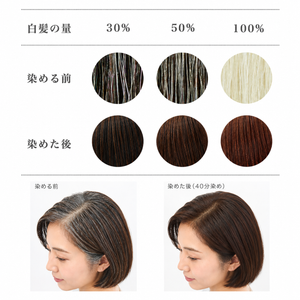 ヘナ黒茶ー使用前使用後